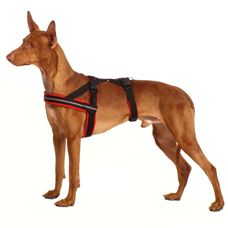 Sicherheitsgeschirr Geschirre Sofa Dog Wear Vici Design