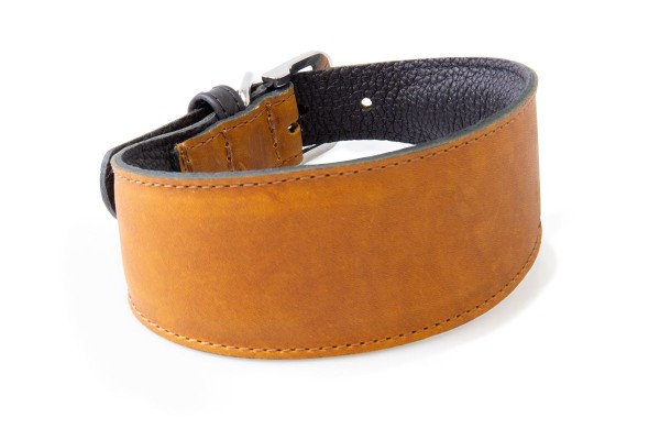 Windhundhalsband Vancouver in Maroon